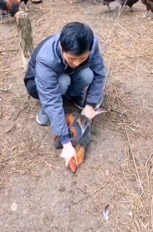 ��������������� �����棺��ѧ����������������ʲôԭ��