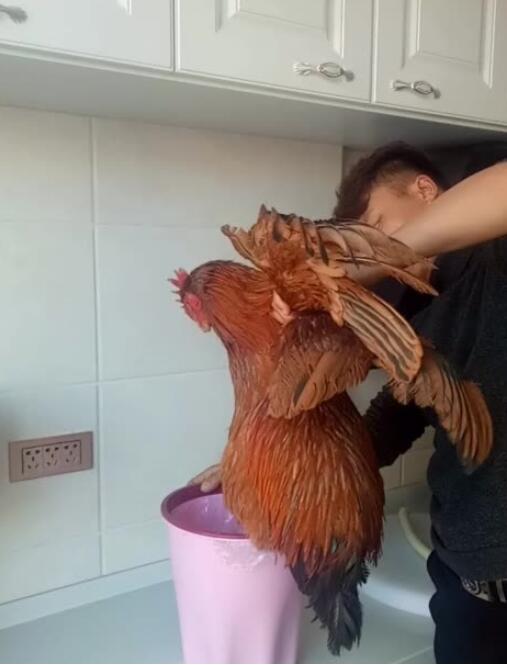 ��������������� �����棺��ѧ����������������ʲôԭ��