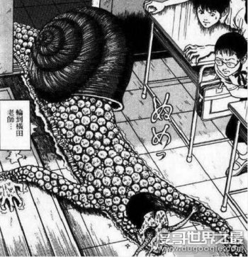 ��ţ����ʲô���� ԭͼ�ֲ��������˰���ţ���������