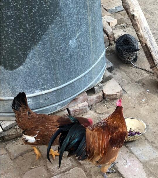 ��аΪʲôҪ�ù���Ѫ ��ʵ�����й���Ѫ��аʹ�÷���