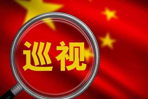 Ѳ鳤൱ʲô 15Ѳϵʽ绰