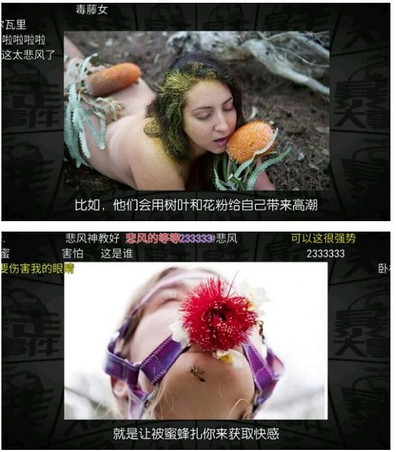 ��������ʲô��˼ �����ı�С˵��������̵Ĺ�