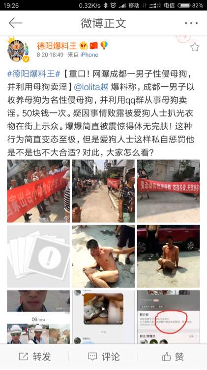 ��������ʲô��˼ �����ı�С˵��������̵Ĺ�