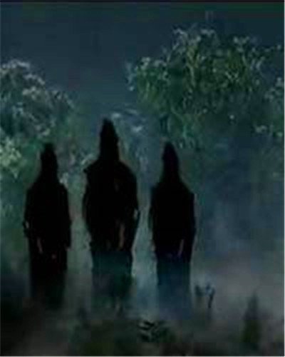 �봨����ֲ���ʵͼƬ �����������ˣ��������ץ����