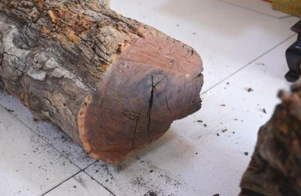 �׻�ľ��ʲôľͷ ��ô��:Ϊʲô˵�׻�ľ���Ա�а