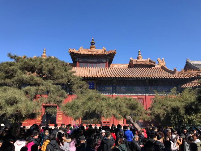 Ӻ�͹����޿���ͬȥ�� ����ҵ��ΪʲôӺ�͹���������