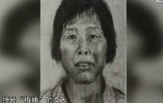 ÷�̰�ץ������ ��ʵ���ݣ��˷���÷�̻�����˭����