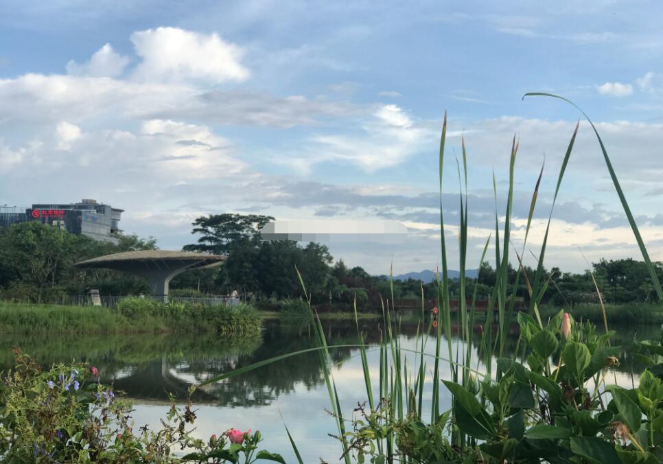 ��������ʲô�ط� ��ʲô���۱ȽϺ�����