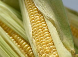 ī�������幹�ɱ��� Ϊʲôī����ӡ�ڰ��������