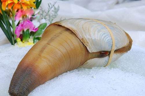 ��ΰ�Ϊʲô��ô�����Ǯһ�� ����̫��������ˣ���ΰ�Ϊʲô���Ǹ�����