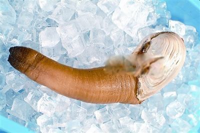 ��ΰ�Ϊʲô��ô�����Ǯһ�� ����̫��������ˣ���ΰ�Ϊʲô���Ǹ�����