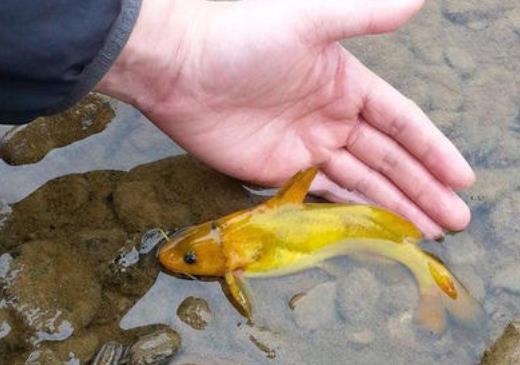 ��������ʲôԢ�� �и����ĺ��£�������Ĺ��º�����