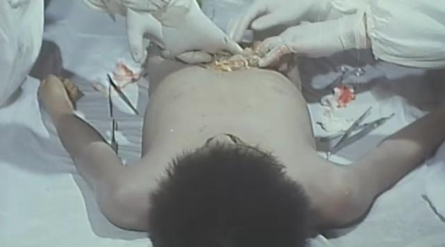 731������·����ʲô��˼ ��ʳ�ܺã�731������·��Ļ������ʵ��