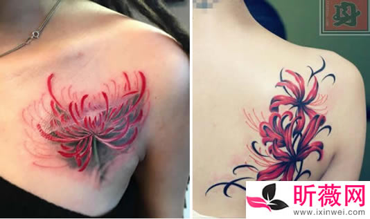 �˰�������ͼƬ ��Ҫ���ƣ�Ů����ǰ�Ʊ˰��������ĺ���