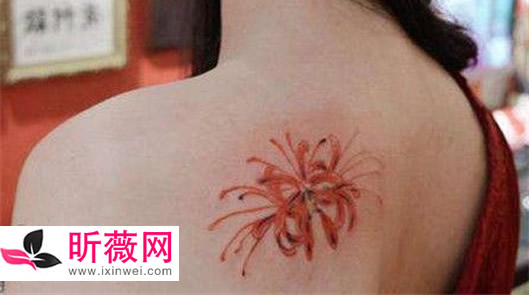 �˰�������ͼƬ ��Ҫ���ƣ�Ů����ǰ�Ʊ˰��������ĺ���