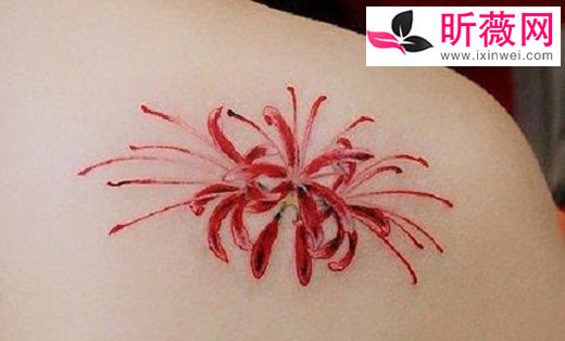 �˰�������ͼƬ ��Ҫ���ƣ�Ů����ǰ�Ʊ˰��������ĺ���