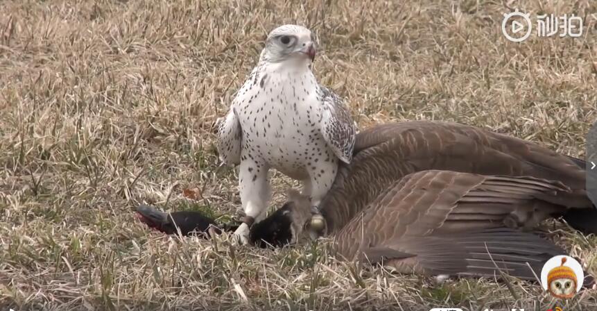 ������ͽ��˭���� ̫��ϡ�٣���������ʲô��