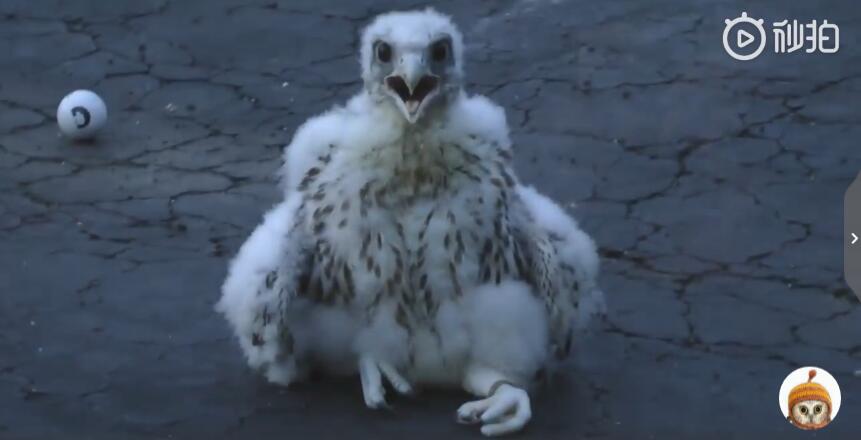 ������ͽ��˭���� ̫��ϡ�٣���������ʲô��