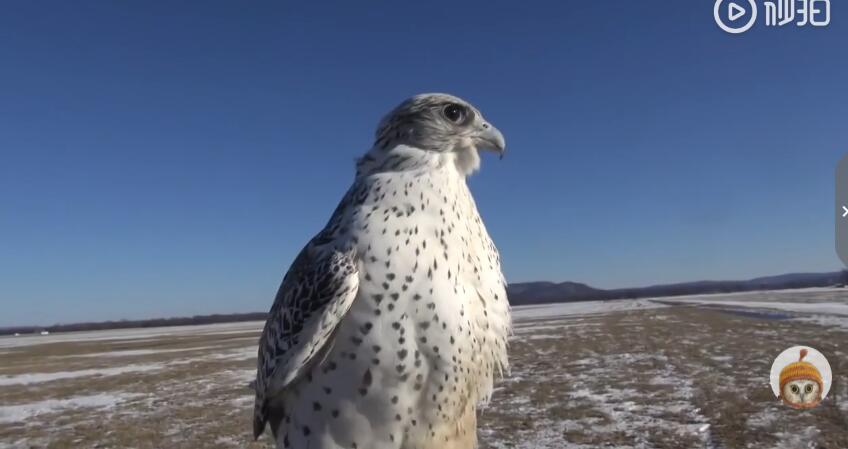 ������ͽ��˭���� ̫��ϡ�٣���������ʲô��