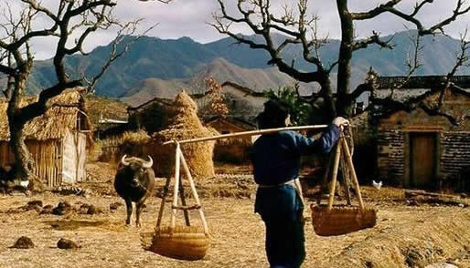 ��һ���˽��Ĺ����� ũ����������ʵ������