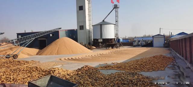 农村暴利小生意排行榜前十行业 有头脑:10个暴利小生意创业