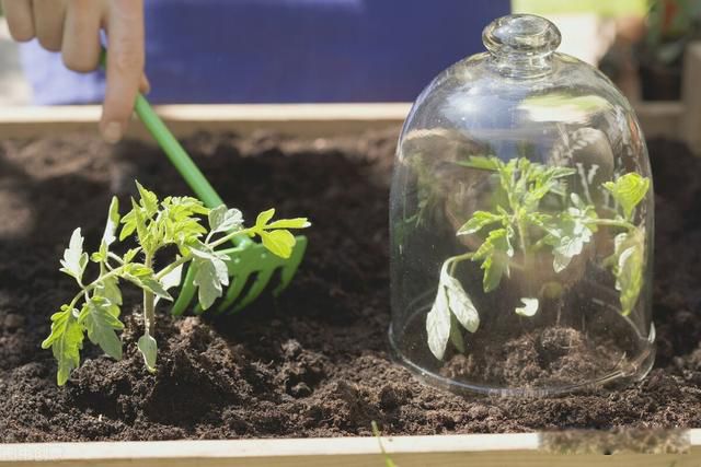 农村暴利小生意排行榜前十行业 有头脑:10个暴利小生意创业