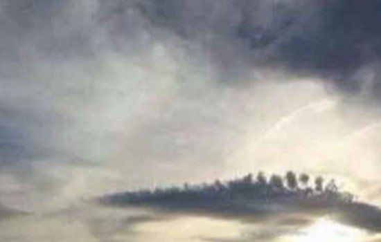 1988�곤����ճ�������� �������ɵĺ�������������