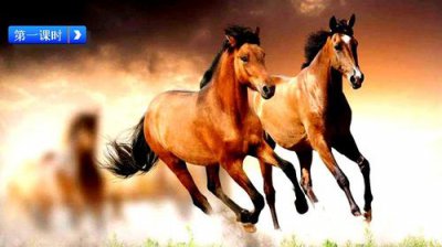 �����ʫ��д������ ��Ԫ֮�ʵ����˴�ʫ��Ԫ�