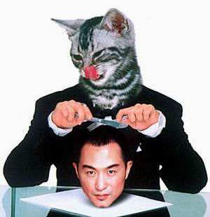 ���ָ߷�����ô�ߵ� ��̳�˲Ÿ߷㲻������Ƭ