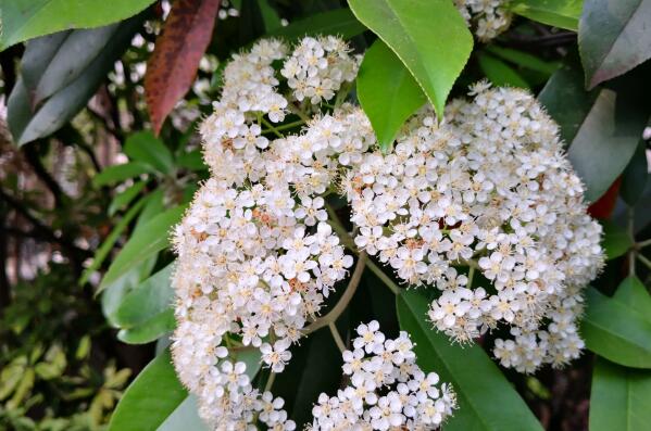 ʯ骻���ζ����ɶζ�� Ϊʲô�����ۻ���Ů�Ե�Ӱ��