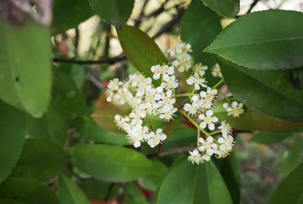 ʯ骻���ζ����ɶζ�� Ϊʲô�����ۻ���Ů�Ե�Ӱ��