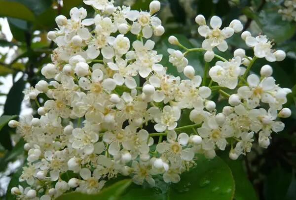 ʯ骻���ζ����ɶζ�� Ϊʲô�����ۻ���Ů�Ե�Ӱ��