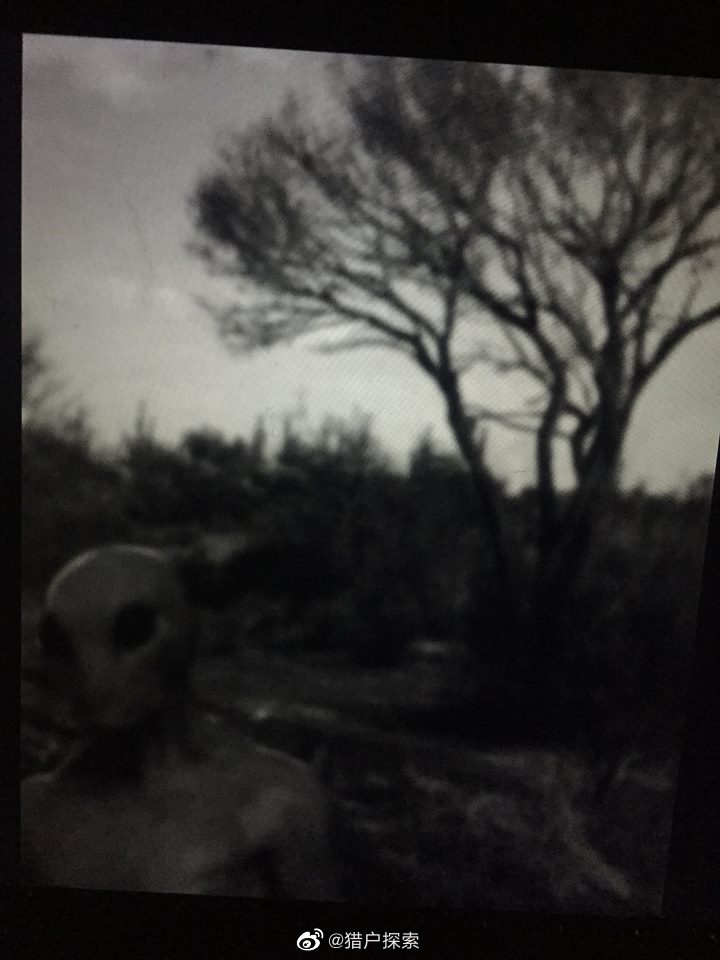 �����˽���2030��������� αװ�ɵ����ˣ���������ʵ�¼�֤��