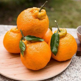 ���ٺ����θ��ĸ��ó� ����һ������ǰ���������