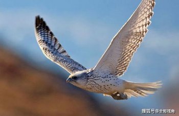 ������ͽ��˭���� �������ݷǳ�������������