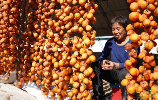 �ʺϰڹ��ļ���ˮ������Щ ��ҵ�ڷ�5���к���ͷ��ˮ��