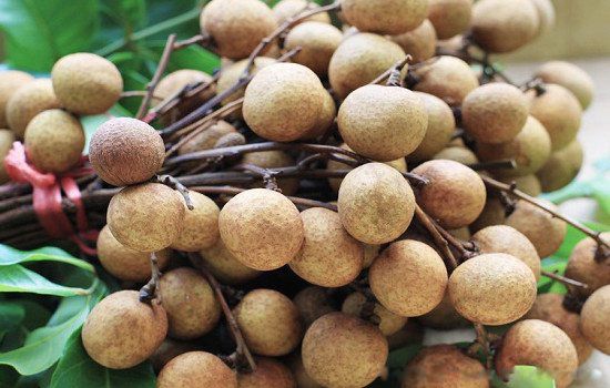 �ʺϰڹ��ļ���ˮ������Щ ��ҵ�ڷ�5���к���ͷ��ˮ��