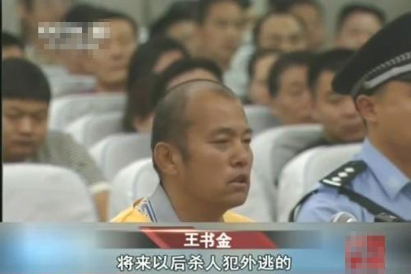 王书金案件结果分析 过这么多年才承认:王书金是聂树斌案件真凶吗