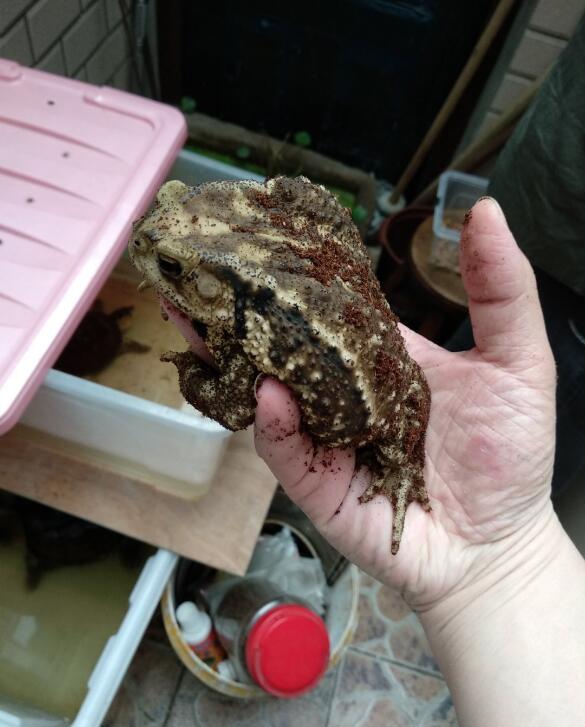 ��ܽ���ʲôԤ�� ��ˮ�����������Ǻ��ǻ�