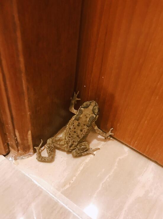 ��ܽ���ʲôԤ�� ��ˮ�����������Ǻ��ǻ�