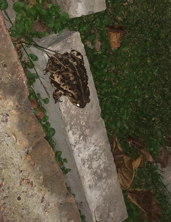 ��ܽ���ʲôԤ�� ��ˮ�����������Ǻ��ǻ�