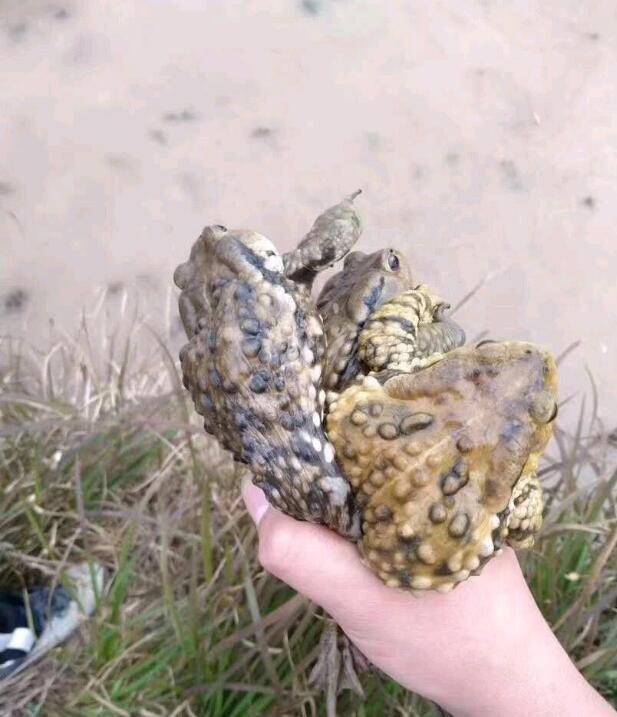 ��ܽ���ʲôԤ�� ��ˮ�����������Ǻ��ǻ�