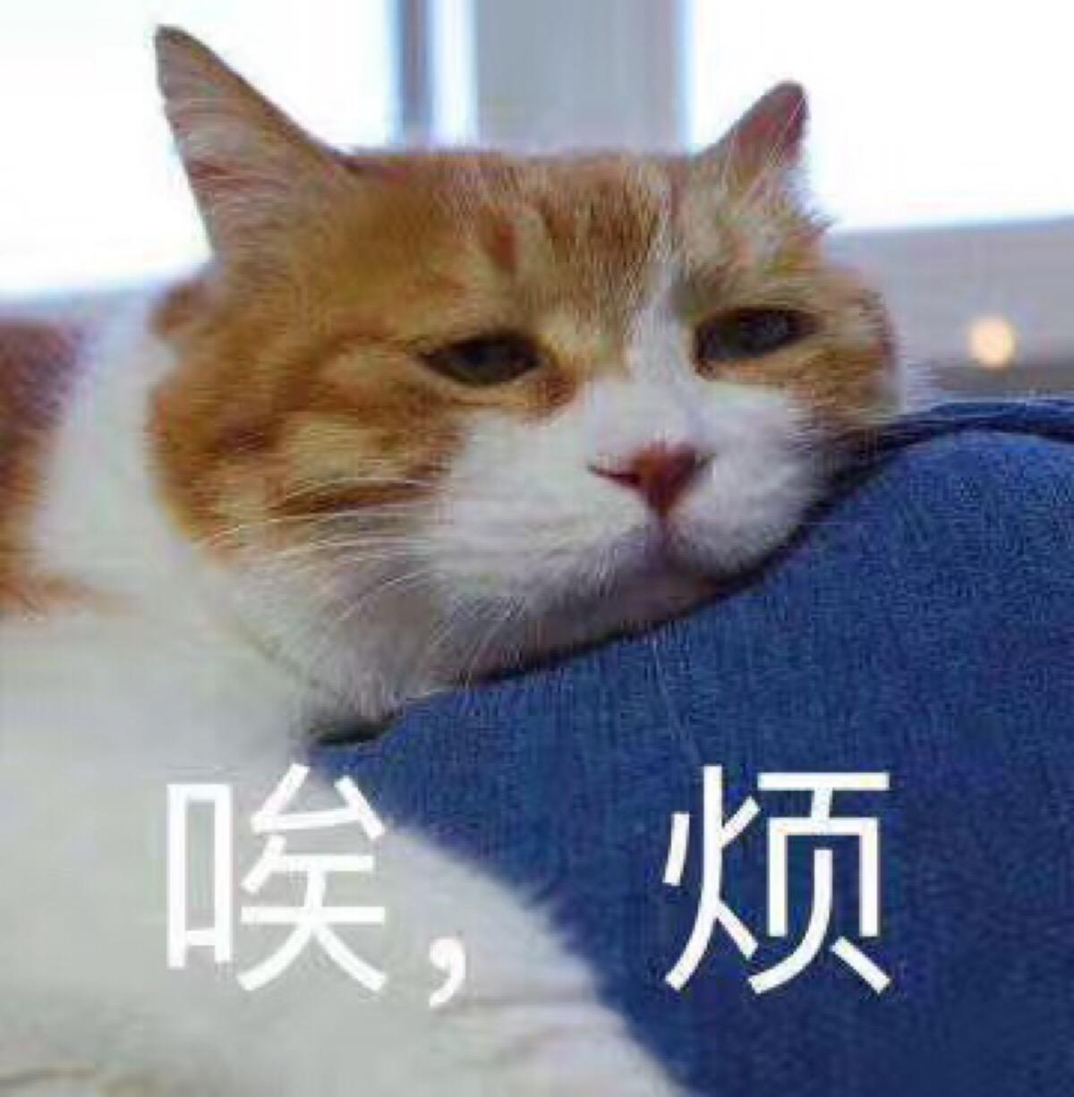 ʲô˼ ̫ĵĻ⻹ɶҲظ