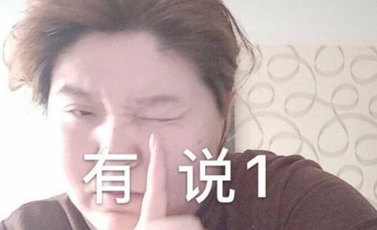 ʲô˼ 壺ǿ˵Ļ˵