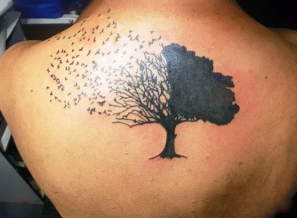 �ƻ��۵���һ����ʲô�� ʮ���壺Ϊʲô����ϲ���ƻ���