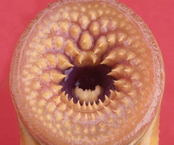 空手指是什么病是怎么形成的 太无聊竟然有人还信了