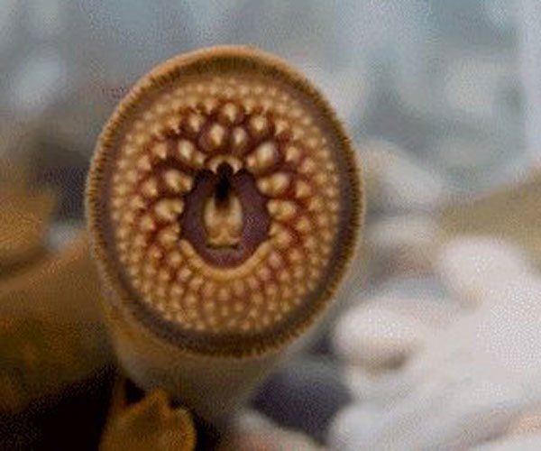 空手指是什么病是怎么形成的 太无聊竟然有人还信了