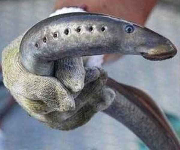 空手指是什么病是怎么形成的 太无聊竟然有人还信了