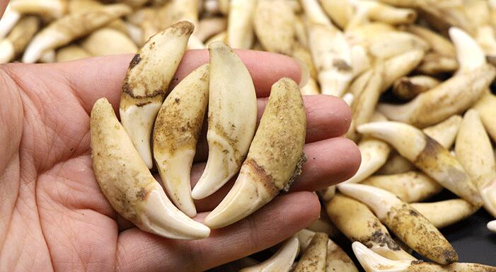 ������а�ķ�ˮԭ�� ע��ط�����������ĺô��ͽ���