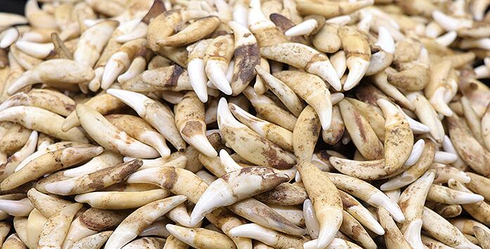 ������а�ķ�ˮԭ�� ע��ط�����������ĺô��ͽ���